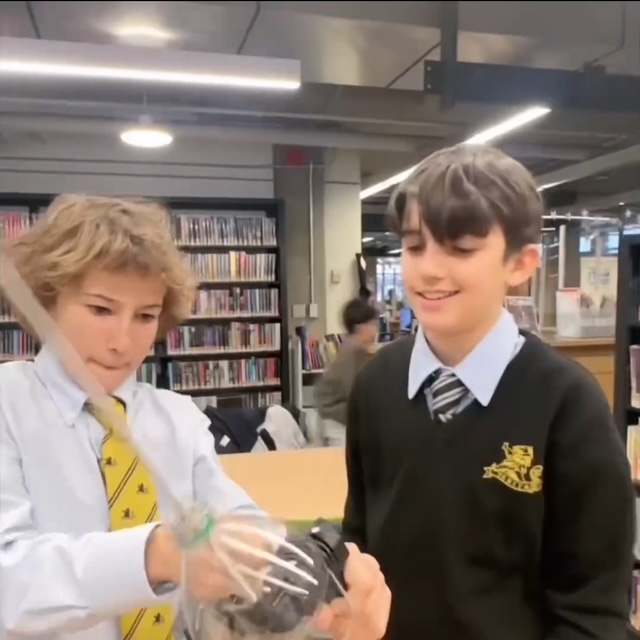 Students in action